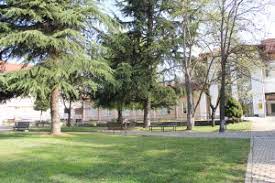FONDAZIONE RESIDENZA DEL BOSCO