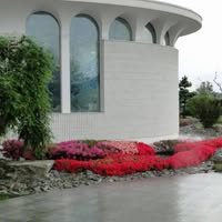 PSA STELLA DEL MATTINO